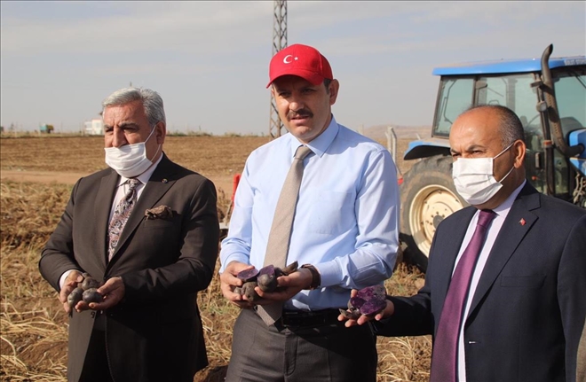 HAYALLER GERÇEĞE DÖNÜŞTÜ