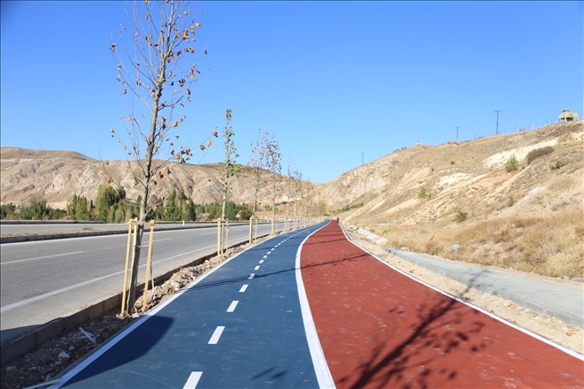 PAŞABAHÇE YOLUNA 1800 AĞAÇ