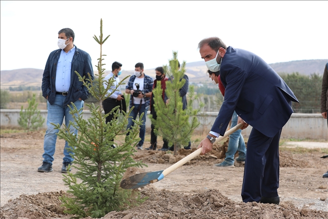 1967 FİDAN TOPRAKLA BULUŞTURULDU (VİDEO)