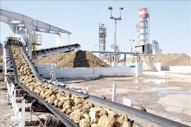 SİVAS´A ŞEKER FABRİKASI ŞART --VİDEOLU--