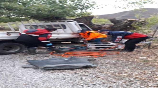 KAMYONET AĞACA ÇARPTI: 2 YARALI