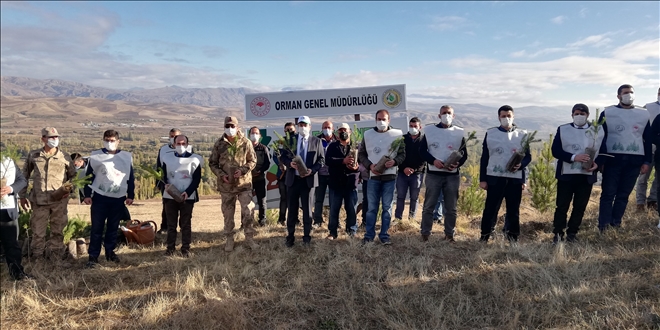 AKINCILAR´DA 20 BİN FİDAN DİKİLDİ