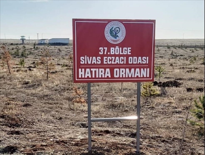 ECZACILAR ODASI BİN AĞAÇ DİKTİ