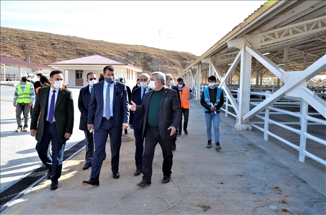 CANLI HAYVAN PAZARINDA SONA YAKLAŞILDI