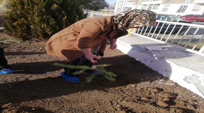 ÖĞRETMENLER, ÖĞRENCİLERİ ADINA FİDAN DİKTİ