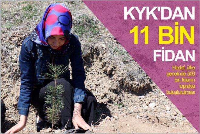 KYK´DAN 11 BİN FİDAN