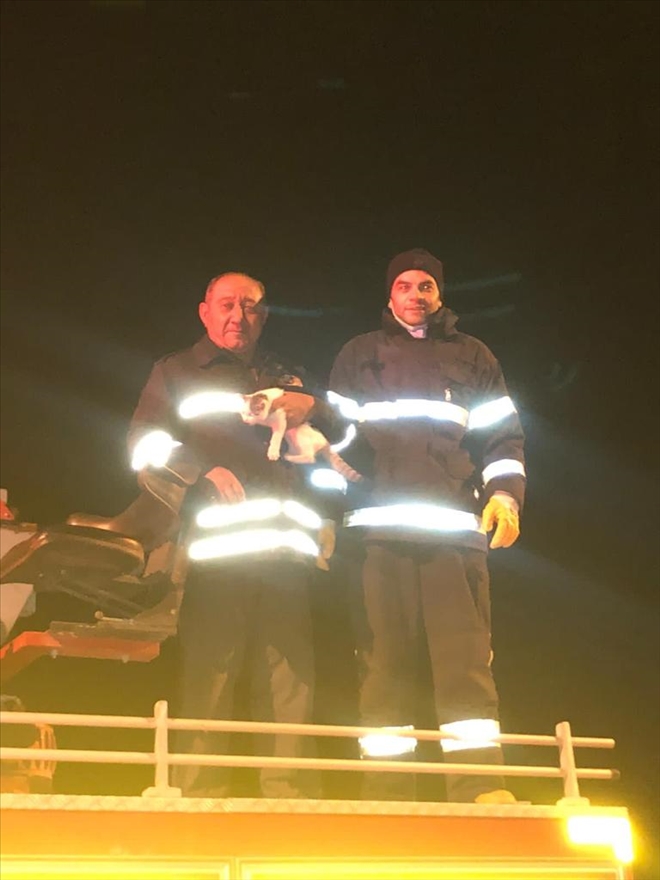 MAHSUR KALAN KEDİYE İTFAİYE KURTARDI (VİDEO)