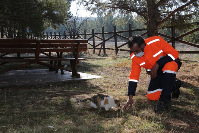 KISITLAMADA SOKAK HAYVANLARI UNUTULMADI