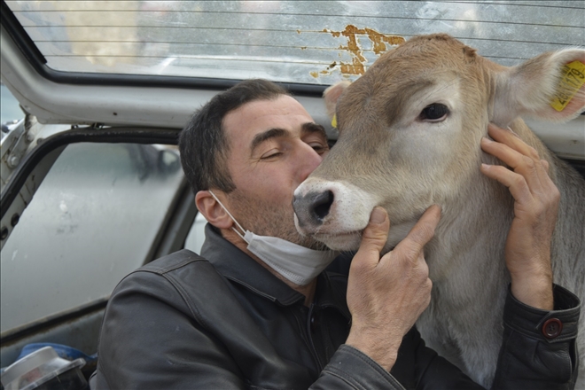 ADRİANA´NIN OTOMOBİLDE VETERİNER YOLCULUĞU (VİDEO)