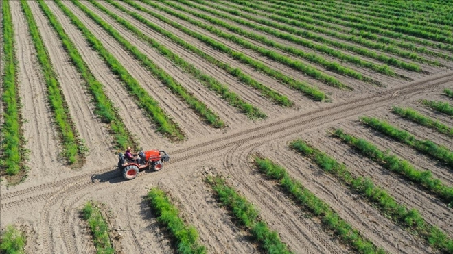 REHBERLERLE TARIMA YENİ YATIRIMCILAR KAZANDIRILACAK
