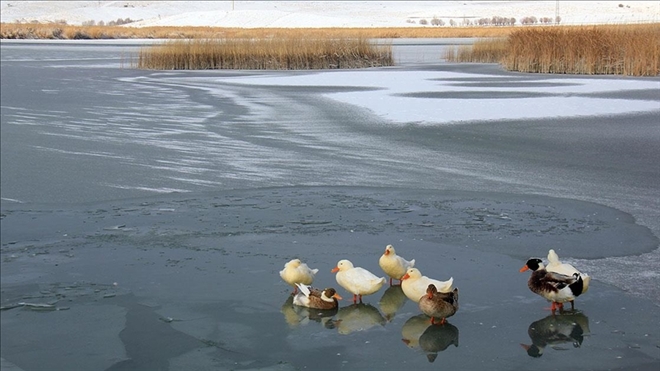 HAFİK GÖLÜ BUZ TUTTU