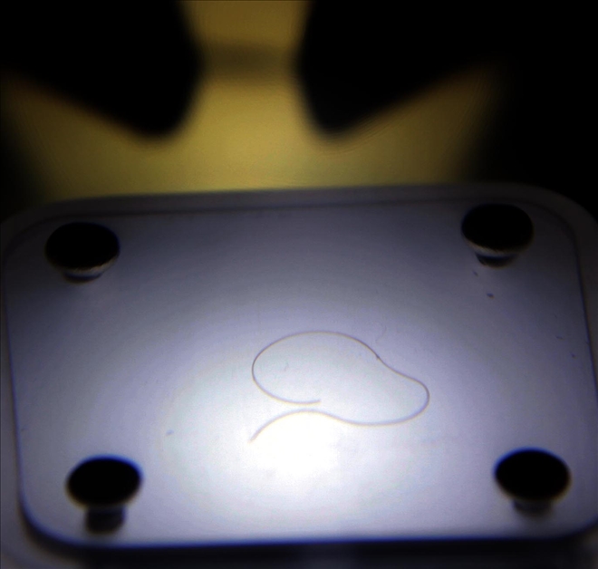 600 YILDIR SİVAS´I ŞEREFLENDİRİYOR