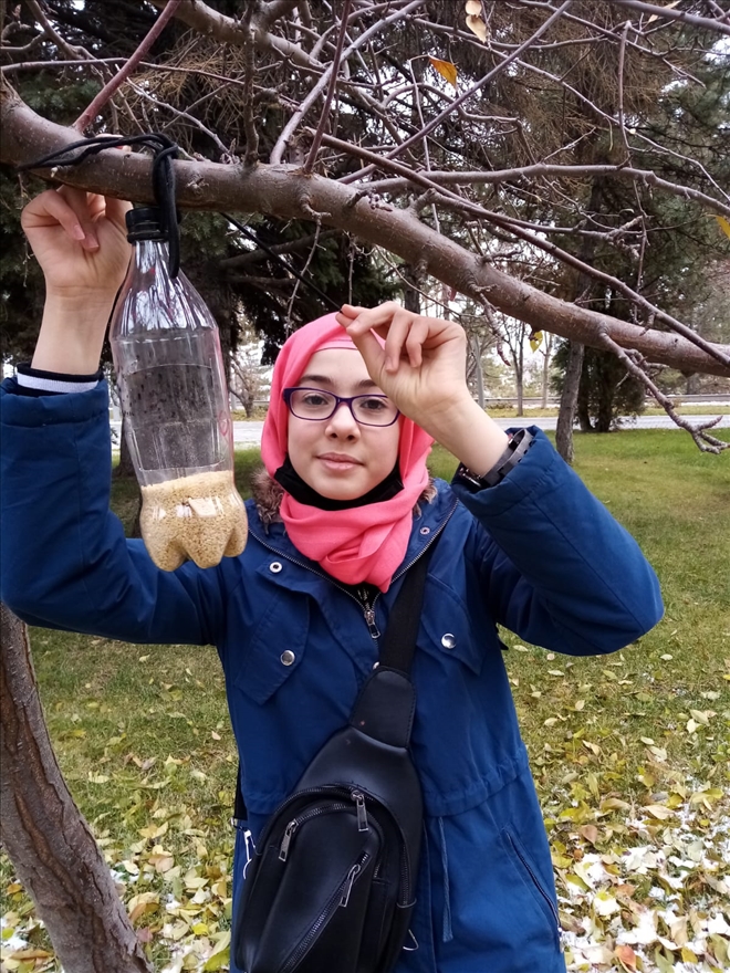 KUŞLARA SICAK YUVA YAPTILAR