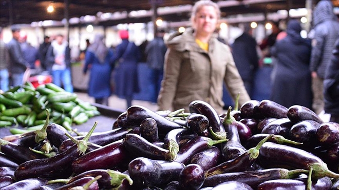 ZAM ŞAMPİYONU PATLICAN