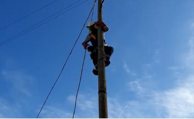 MAHSUR KALAN KEDİYİ ÇEDAŞ EKİPLERİ KURTARDI