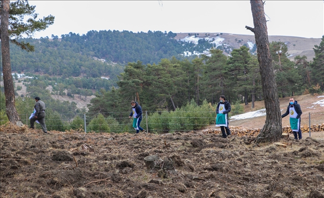 İKİ FİDAN BİRLİKTE BÜYÜYECEK