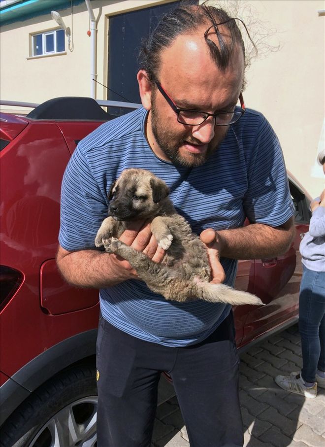 ÜÇ AYAKLI ´GARİP´ FRANSA YOLCUSU