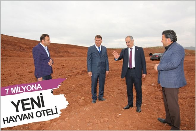 7 MİLYONA YENİ HAYVAN OTELİ