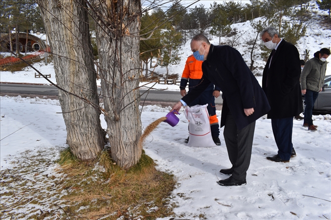 CAN DOSTLAR UNUTULMADI (VİDEO)