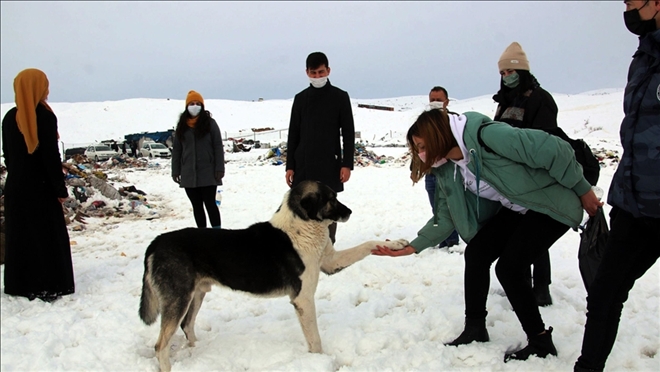 SOKAK HAYVANLARI İÇİN BULUŞTULAR