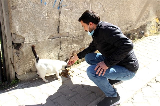 SOKAK HAYVANLARI İÇİN YEMLİK