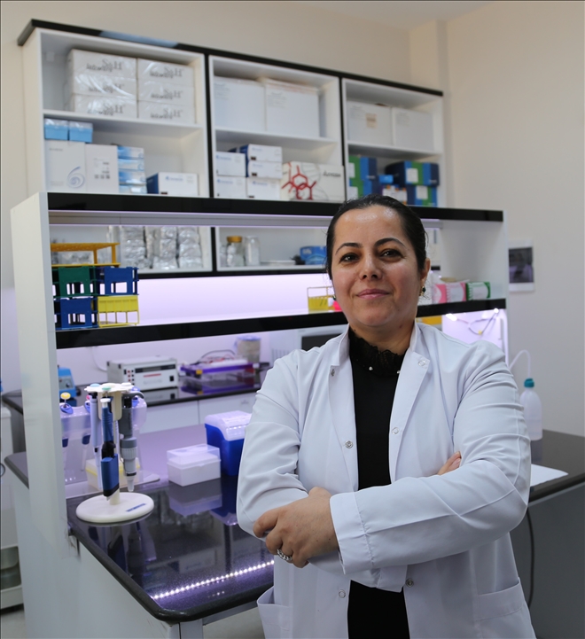 TOPLU ARI ÖLÜMLERİNİN SEBEPLERİ AYDINLANDI (VİDEO)