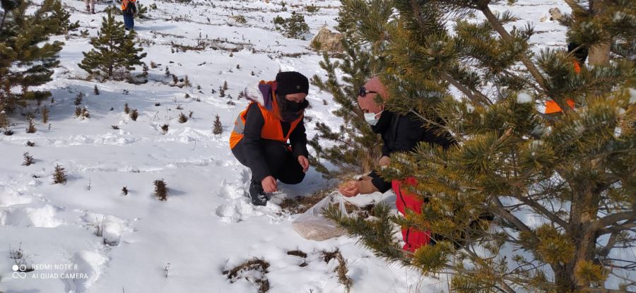 SİVDAK ÜYELERİ DOĞAYA YEM BIRAKTI (VİDEO)