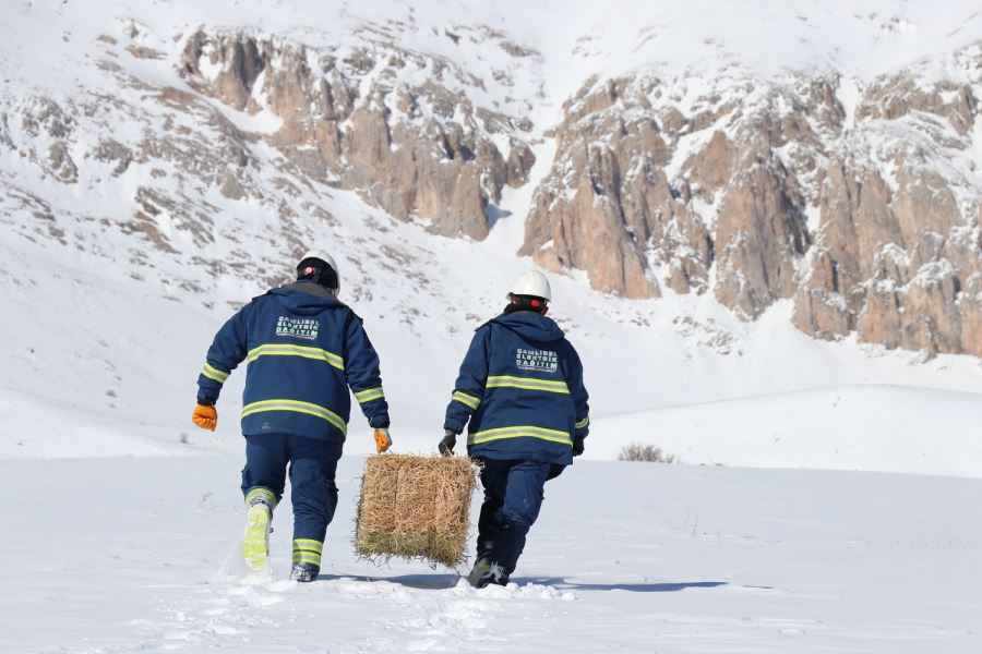 YABAN HAYVANLARINA YEM BIRAKTILAR (VİDEO)