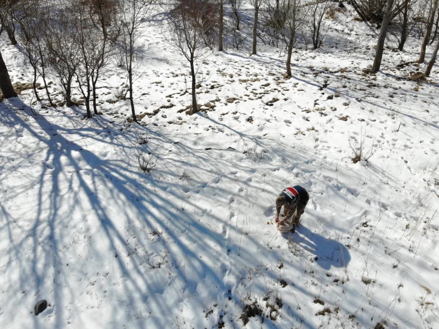 DRONE İLE TESPİT EDEREK YEM BIRAKTILAR (VİDEO)