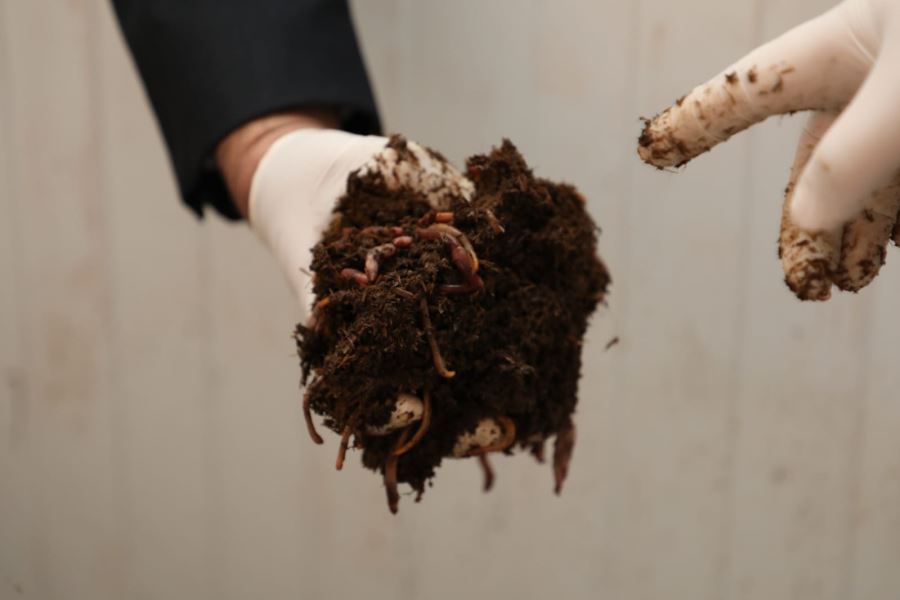 YÜZ TON GÜBRE ÜRETİLİYOR (VİDEO)