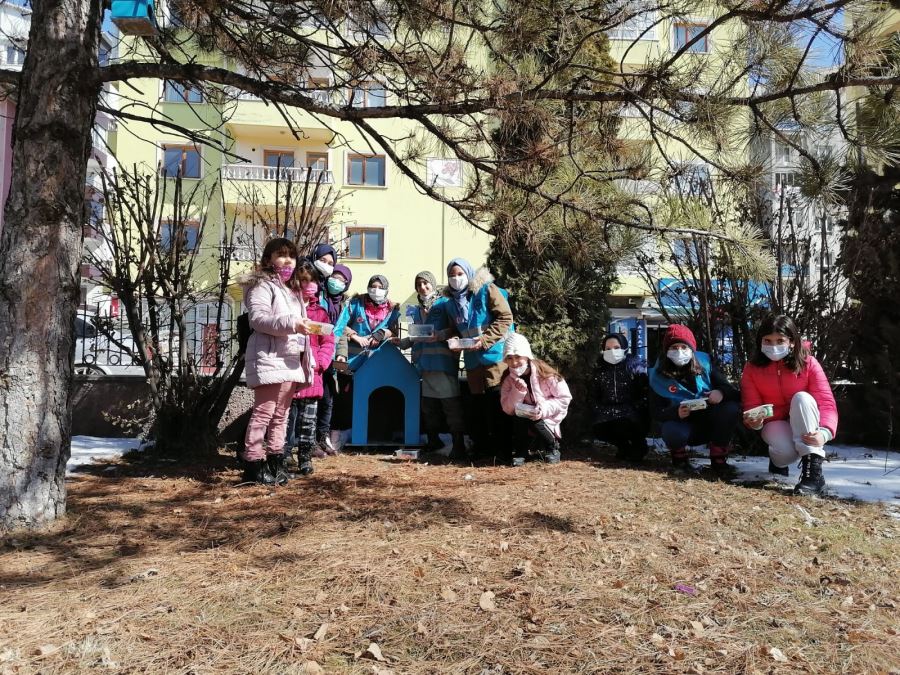 ÖĞRENCİLERDEN SOKAK HAYVANLARINA MAMA (VİDEO)