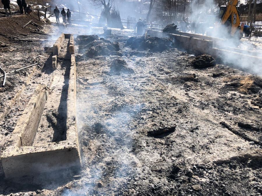 AHIRDAKİ YANGINDA HAYVANLAR TELEF OLDU (VİDEO)