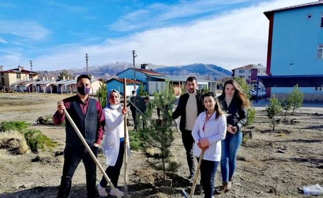 HASTANE BAHÇESİNDE FİDAN DİKİMİ