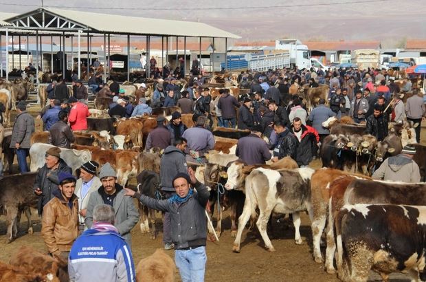 ŞARKIŞLA HAYVAN PAZARI KAPATILDI