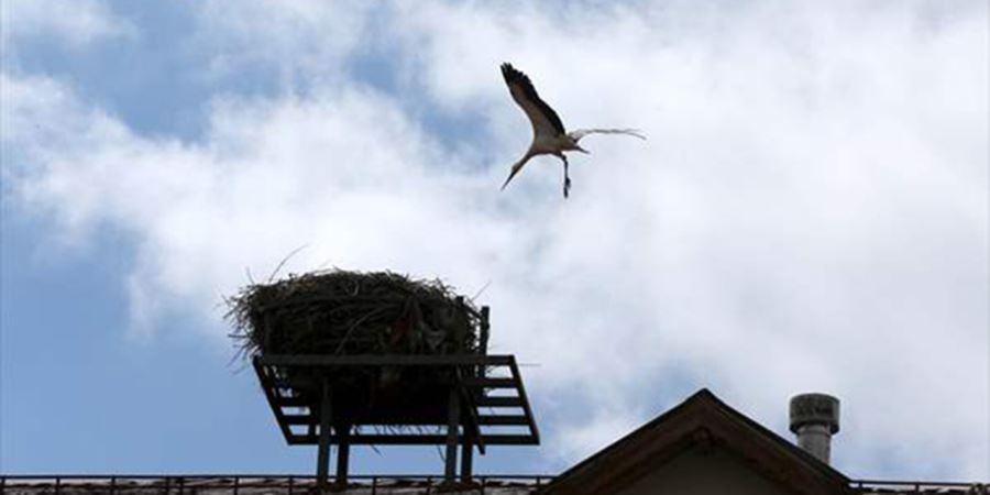 'LEYLEKLİ OKUL'UN İLK MİSAFİRİ GELDİ