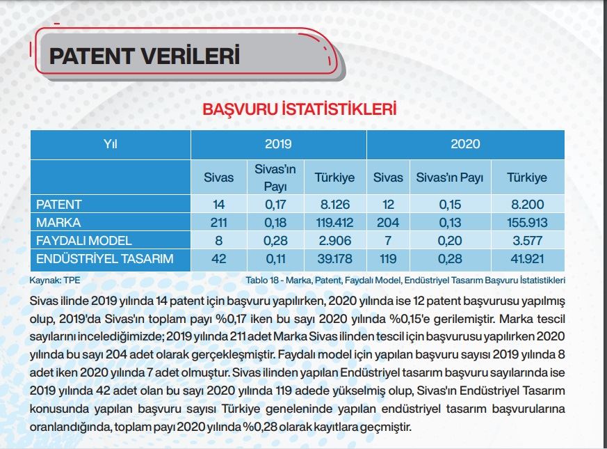 1 YILDA 12 PATENT BAŞVURUSU