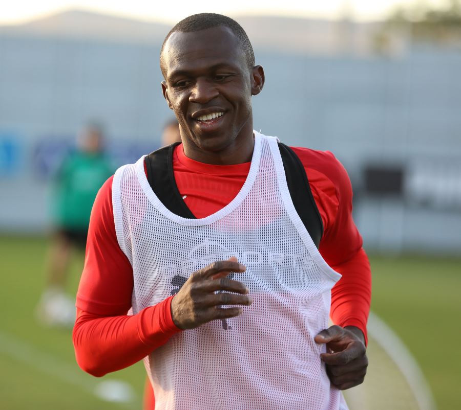 KONE, BOKSA MERAK SARDI