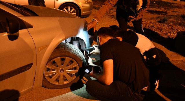 KEDİ ÇİLEDEN ÇIKARDI