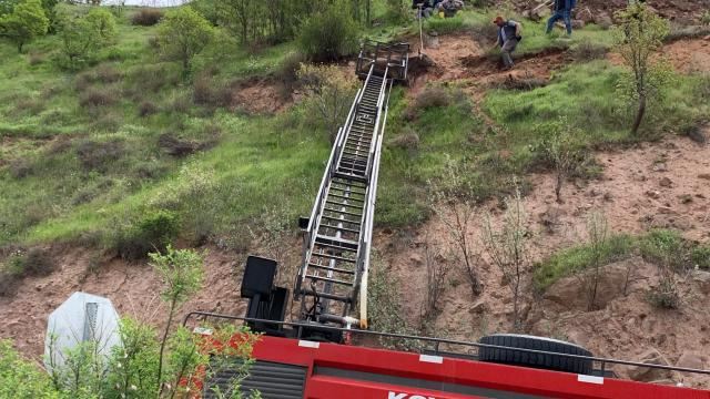 DAĞ YAMACINDA İNEK OPERASYONU