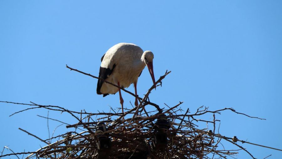 YUVASINI TEKRAR YAPTI