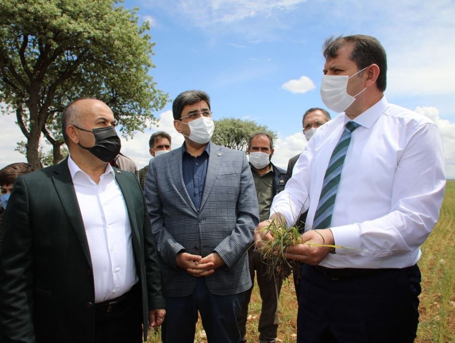 ÇİFTÇİLERİN YARALARI SARILACAK (VİDEO)