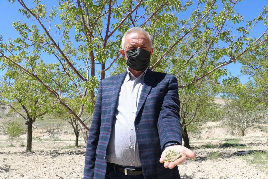 DESTEKLEMELER FAYDALI OLACAKTIR