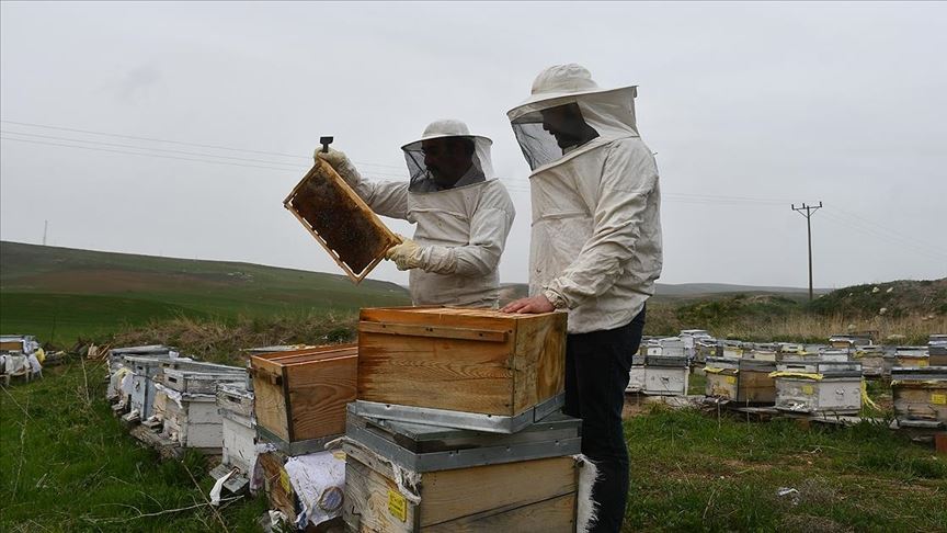 ATADAN YADİGAR ARICILIĞI SÜRDÜRÜYOR