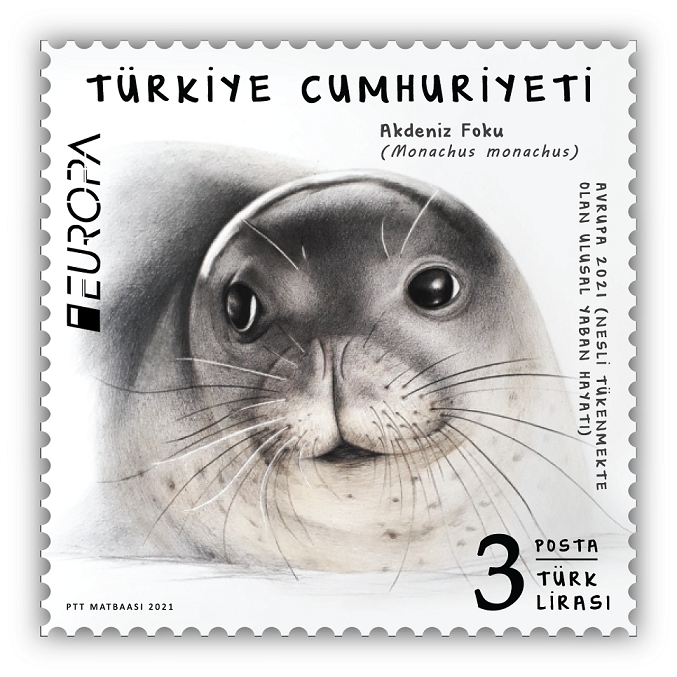 PTT PUL YARIŞMASINA KATILACAK