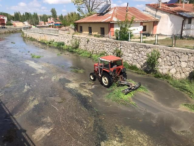 TECERDE TEMİZLİK ÇALIŞMASI