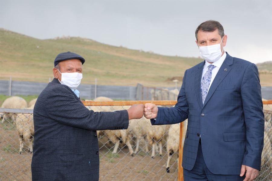 HAYVANCILIK POTANSİYELİ ARTIYOR