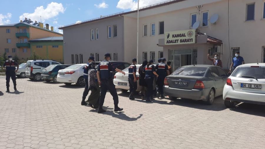 HIRSIZLAR JANDARMADAN KAÇAMADI (VİDEO)