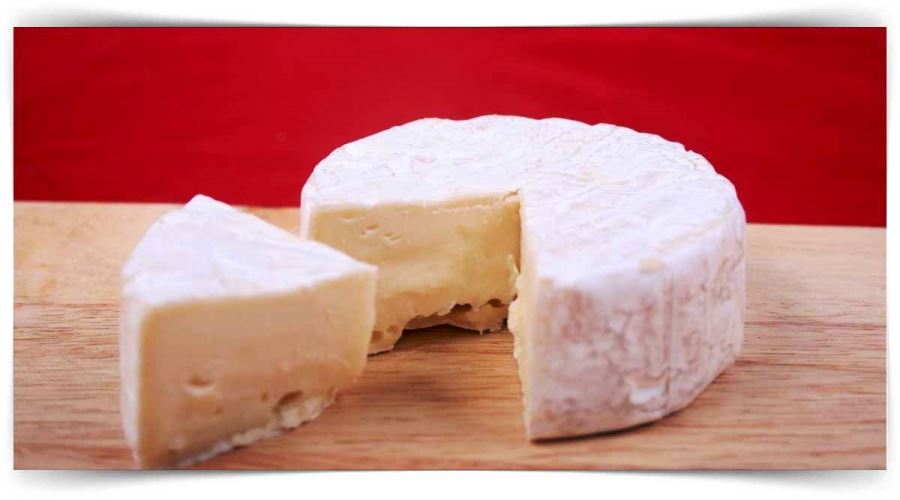 PEYNİR YAPMAYI ÖĞRENECEKLER