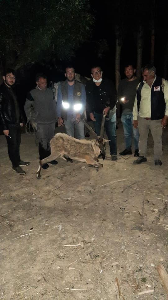 AT SIRTINDA TAŞINDI