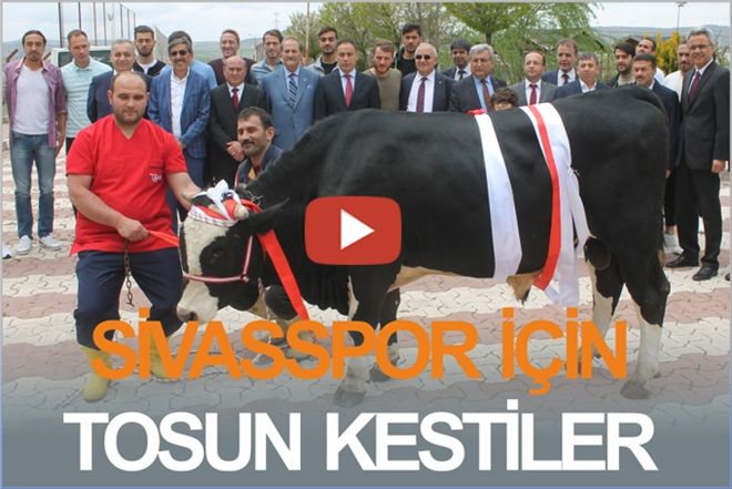 SİVASSPOR İÇİN TOSUN KESTİLER